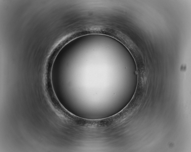 X0000102340728200808011140