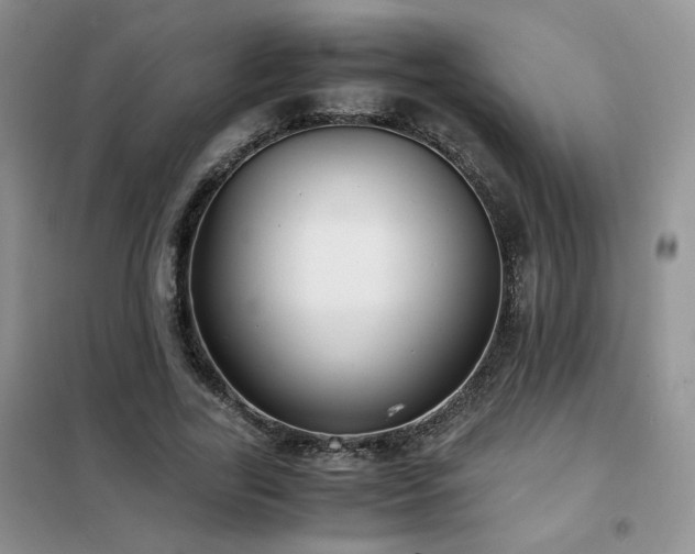 X0000102340731200808011140