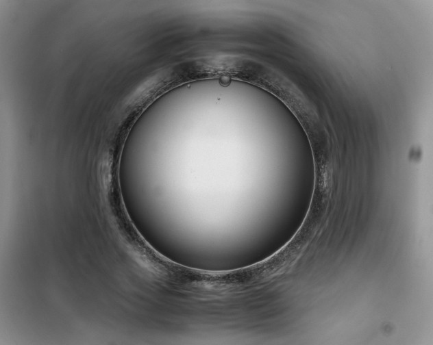 X0000102340733200808011140