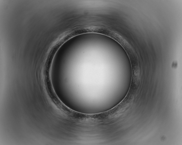 X0000102340734200808011140