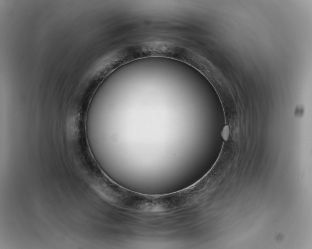 X0000102340735200808011140