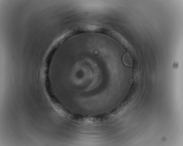 X0000102340736200808011140