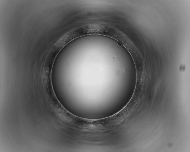 X0000102340737200808011140