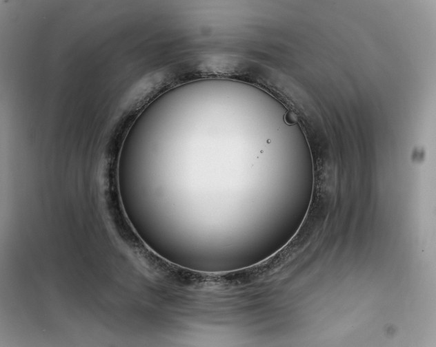 X0000102340738200808011140