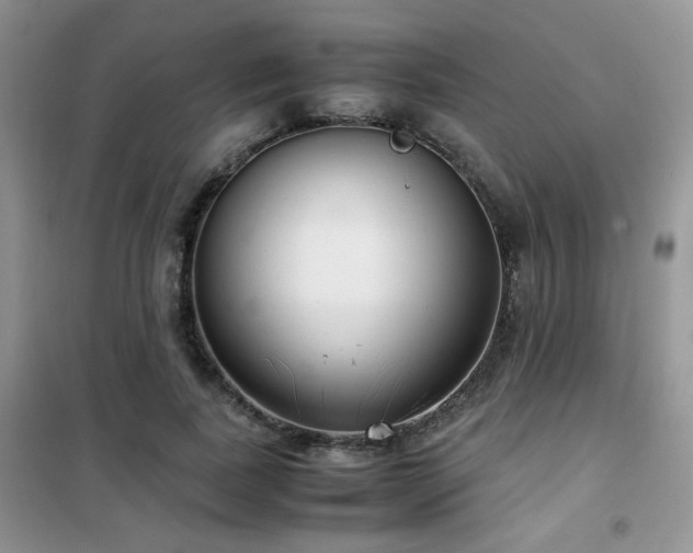 X0000102340739200808011140