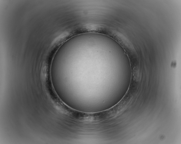 X0000102340740200808011140