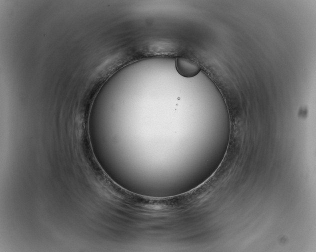 X0000102340741200808011140