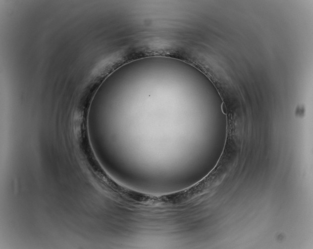 X0000102340742200808011140