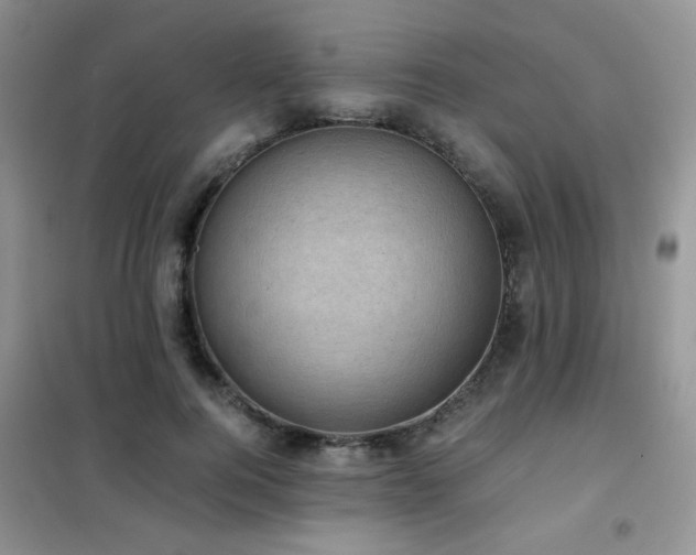 X0000102340744200808011140