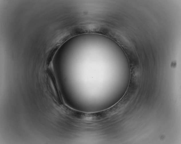 X0000102340746200808011140