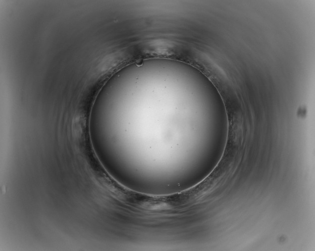 X0000102340747200808011140