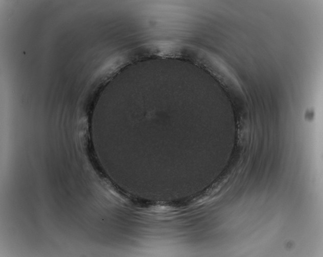 X0000102340748200808011140