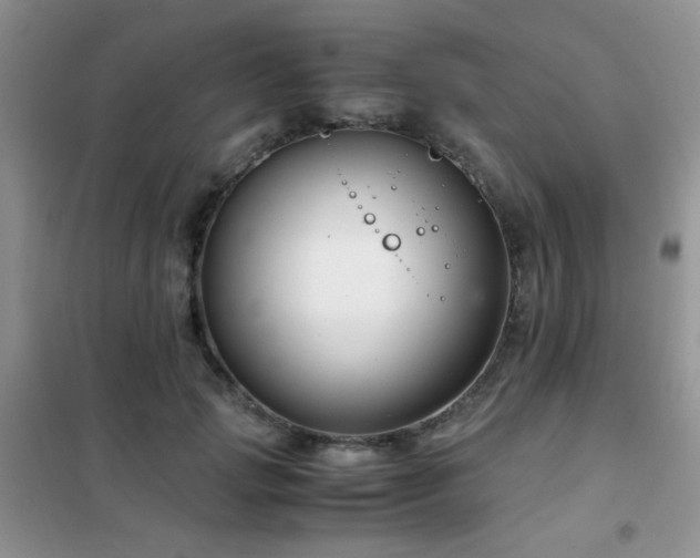 X0000102340749200808011140