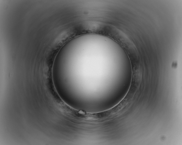 X0000102340750200808011140