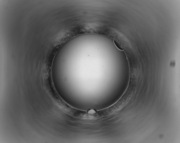 X0000102340751200808011140