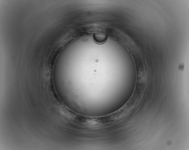 X0000102340753200808011140