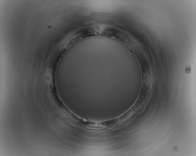 X0000102340754200808011140