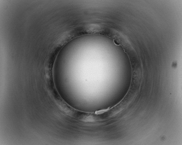 X0000102340755200808011140