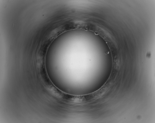 X0000102340756200808011140