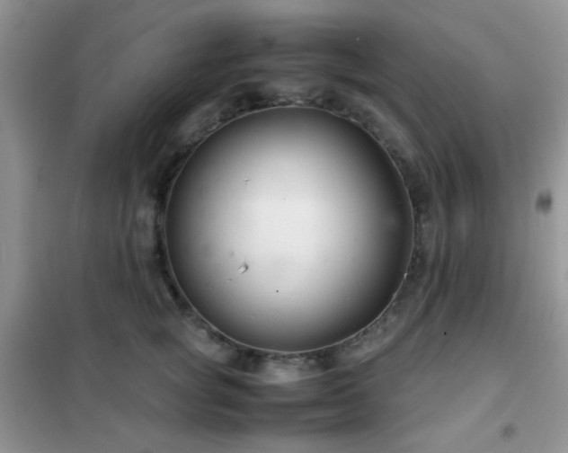 X0000102340757200808011140