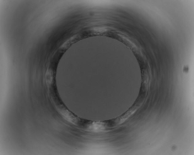 X0000102340758200808011140