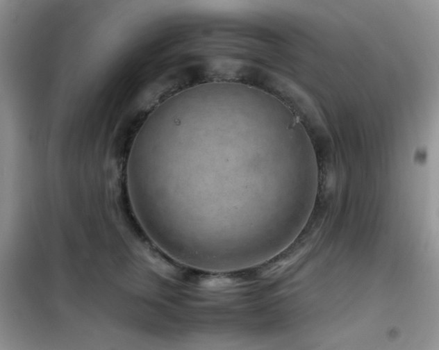 X0000102340759200808011140