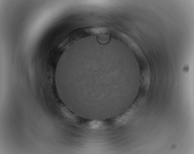 X0000102340762200808011140