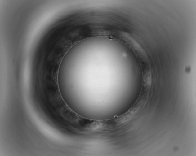 X0000102340764200808011140