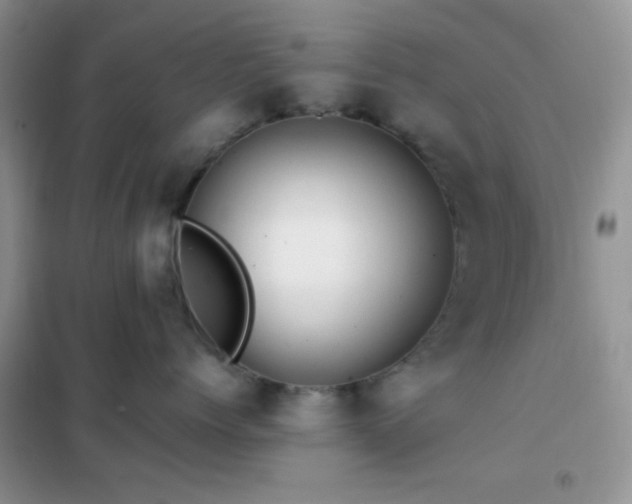 X0000102340768200808011140