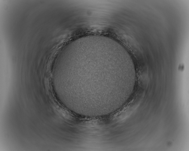 X0000102340769200808011140