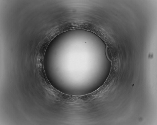 X0000102340770200808011140