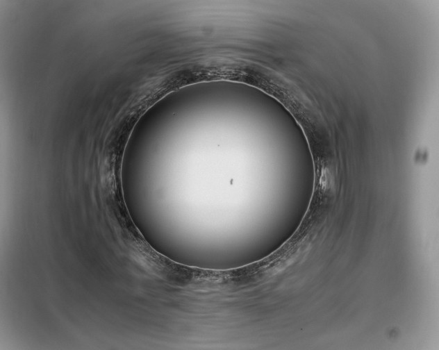 X0000102340771200808011140