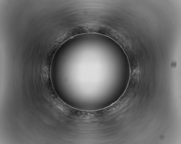 X0000102340772200808011140