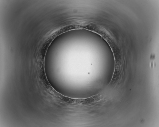 X0000102340773200808011140