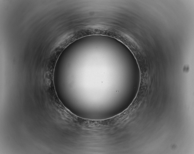 X0000102340774200808011140