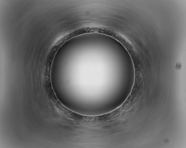 X0000102340775200808011140