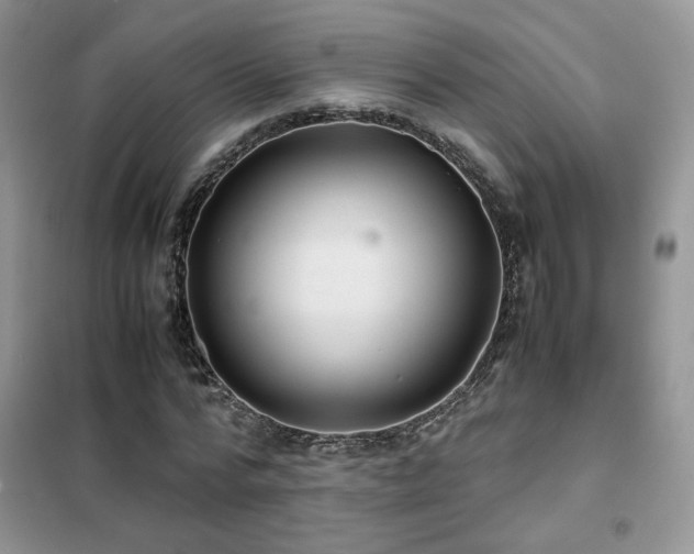 X0000102340776200808011140