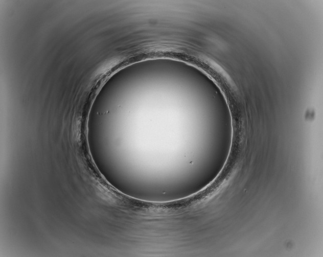 X0000102340777200808011140