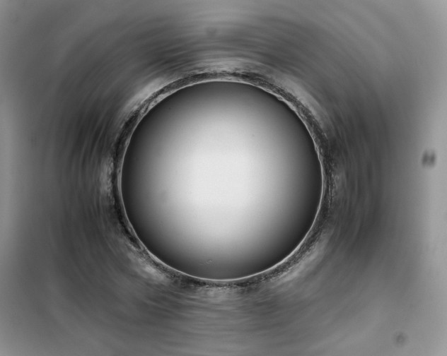 X0000102340778200808011140