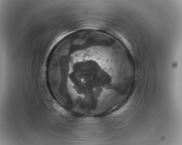 X0000102340779200808011140