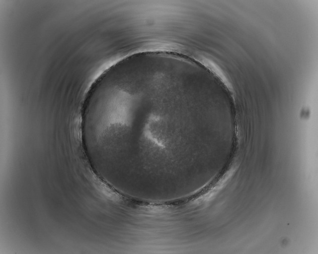 X0000102340781200808011140