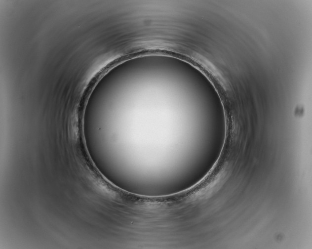 X0000102340782200808011140