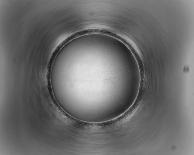 X0000102340783200808011140