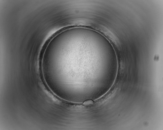 X0000102340784200808011140