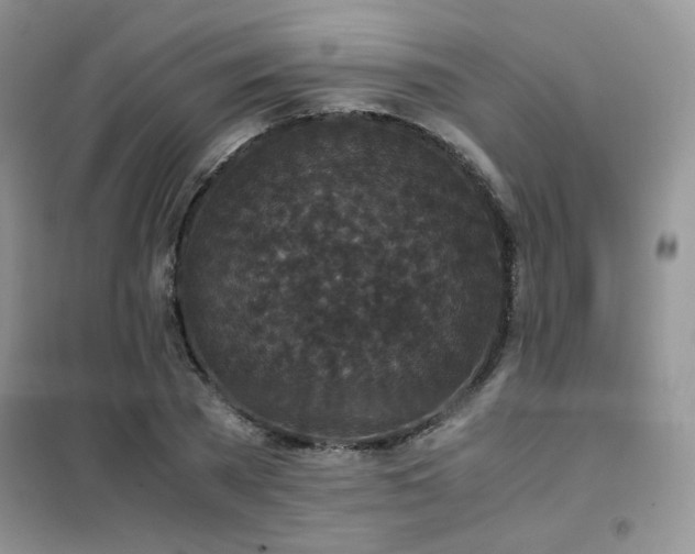 X0000102340785200808011140