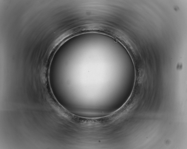 X0000102340786200808011140