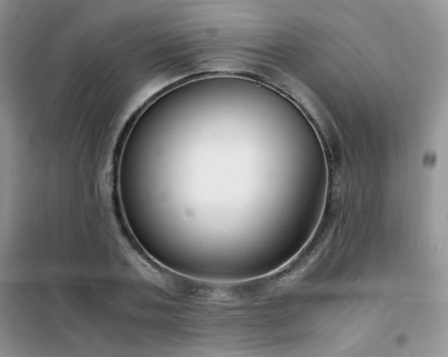 X0000102340787200808011140