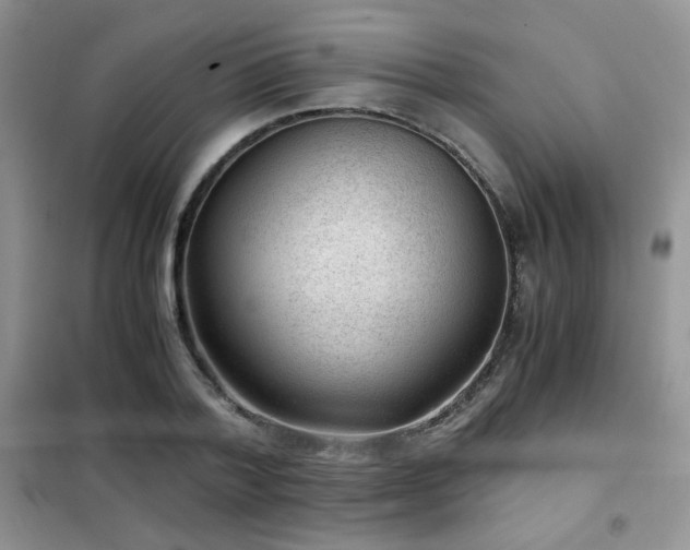 X0000102340788200808011139