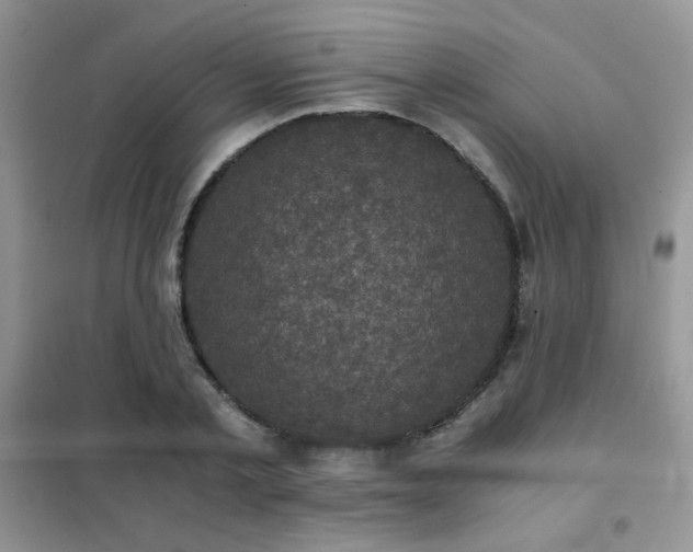 X0000102340789200808011139