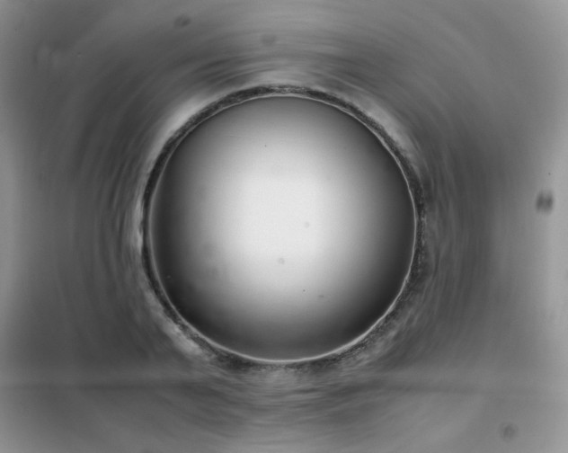 X0000102340791200808011139